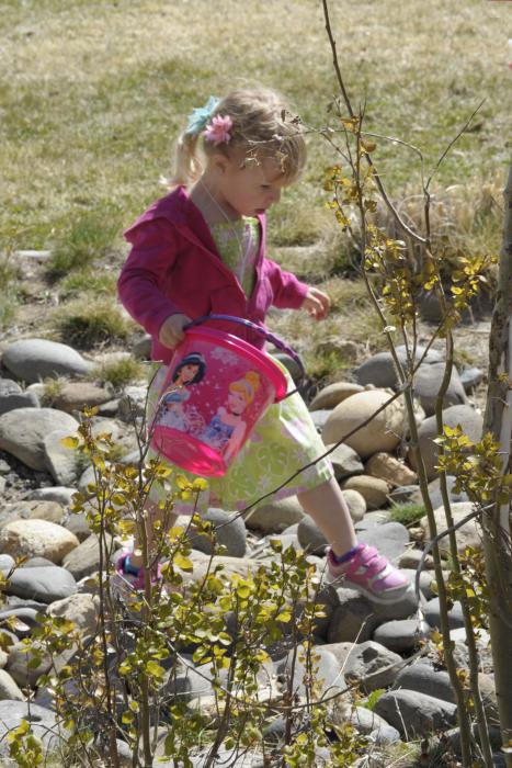 Berlin Ahearn, 3, Carson City, looks for eggs during the 7th Annual Easter Fiesta at Western Nevada College Saturday.