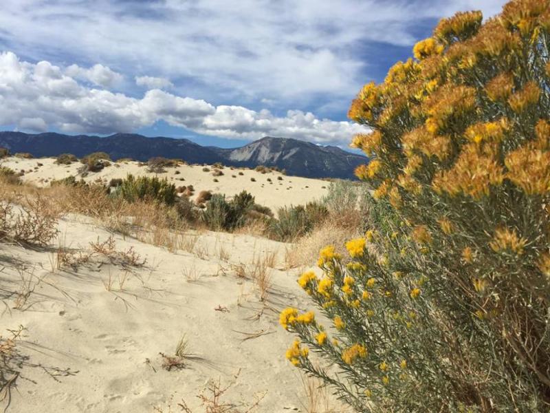 Photo courtesy of Nevada State Parks