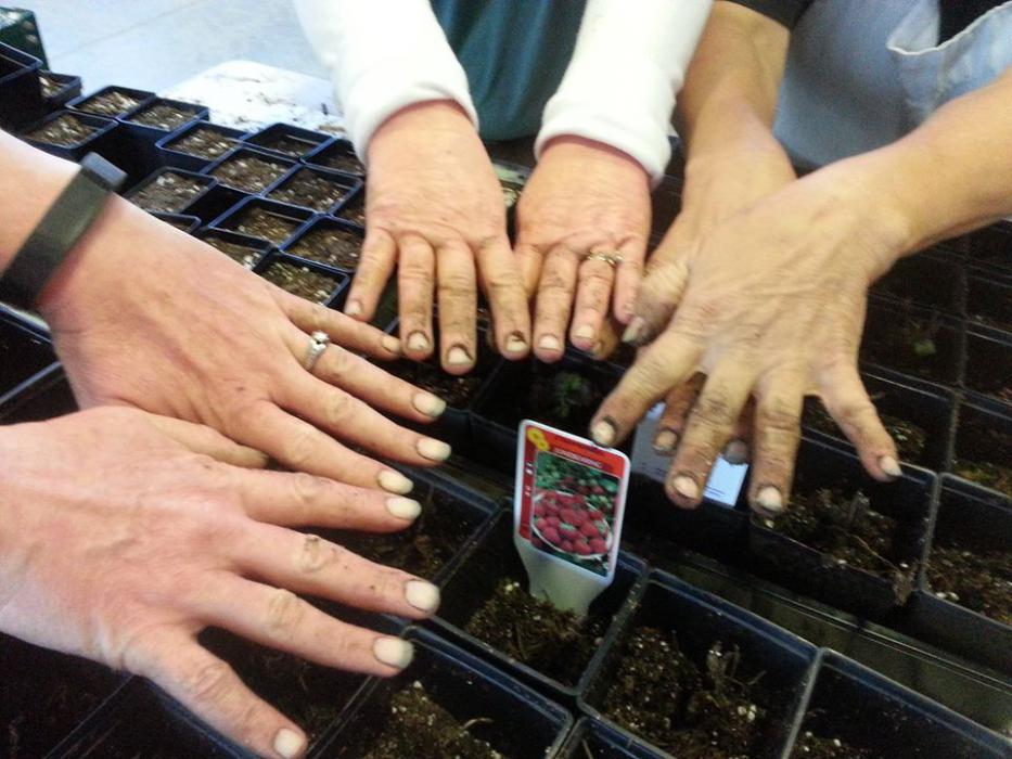 Photo courtesy of UNCE Master Garden Program