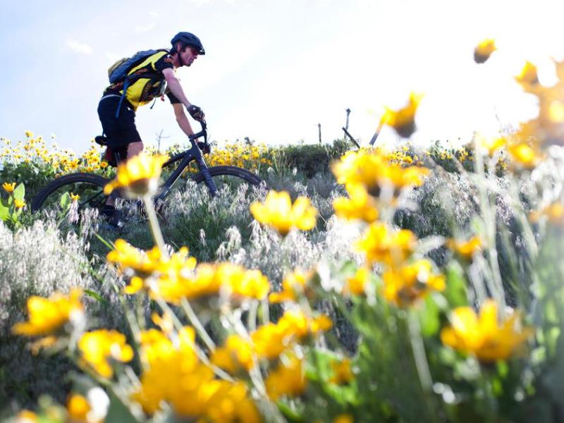 A rider at Ash Canyon. Photo courtesy of Carson City Visitors Bureau.