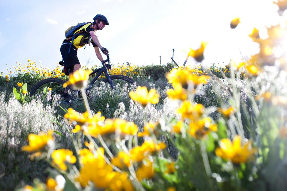 A rider at Ash Canyon. Photo courtesy of Carson City Visitors Bureau.