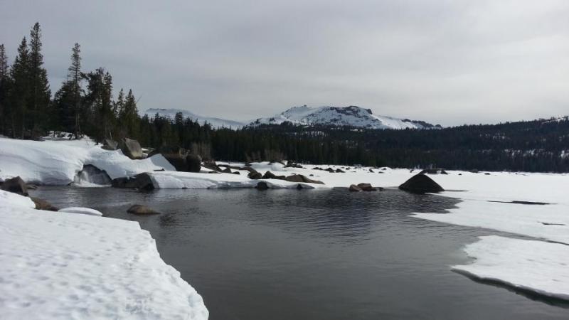 Wood Creek Inlet to Caples Lake. Photo courtesy of Caples Lake Resort