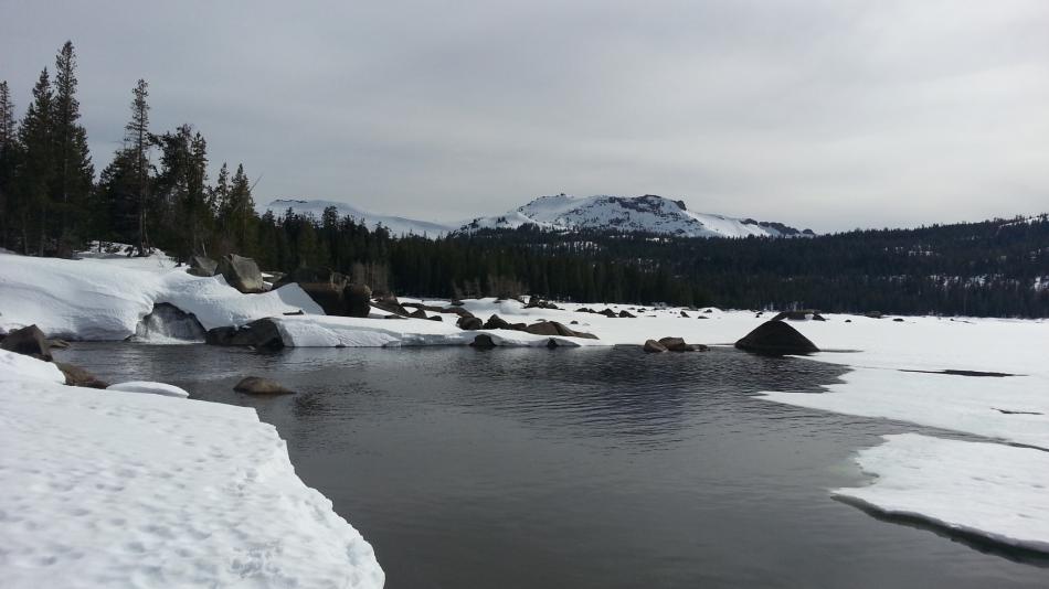 Wood Creek Inlet to Caples Lake. Photo courtesy of Caples Lake Resort