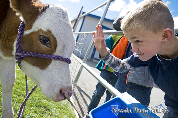 Fremont Elementary's Ryder Rubke, 6, participates in the Carson City school fundraiser. Candice Nyando, Nevada Photo Source
