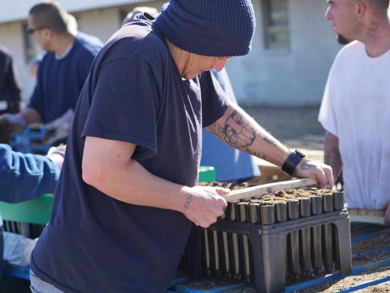 Inmates at corrections centers in Carson City work on sage grouse restoration. Photos by Rita Ayers, BLM Nevada