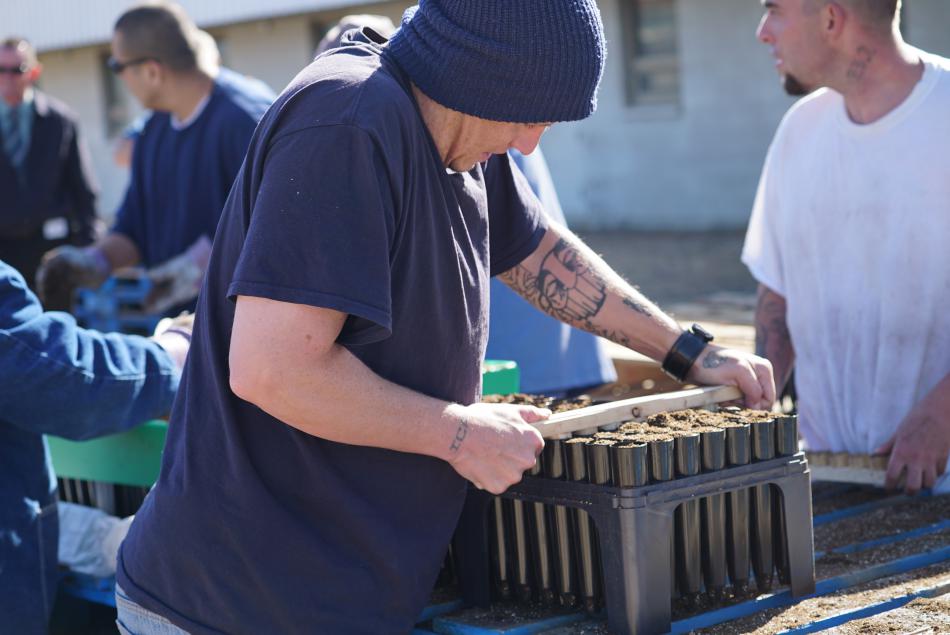 Inmates at corrections centers in Carson City work on sage grouse restoration. Photos by Rita Ayers, BLM Nevada