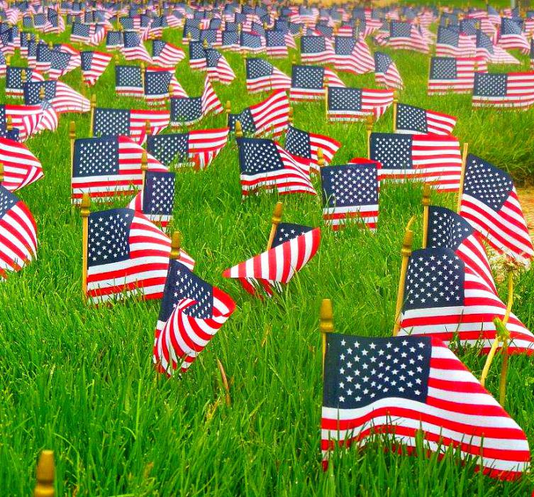Thousands of American flags cover the front lawn of the WNC campus Saturday.