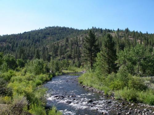 The East Carson River near the Carson River Resort. File photo by Elaine Quilici