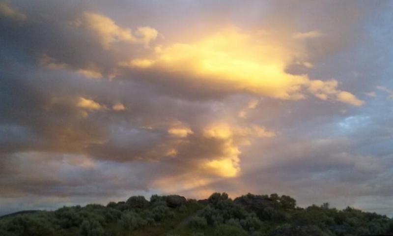 Photo by Brett Fisher. Looking Southeast.
