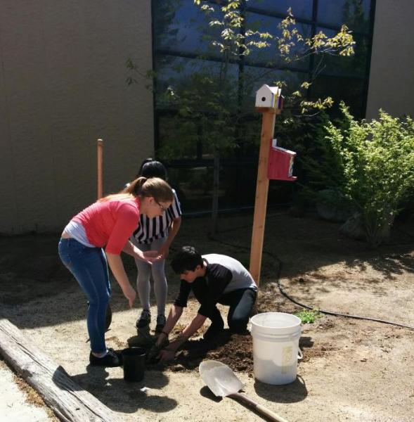 Planting seeds for future generations at Carson High School in Carson City, Nev.
