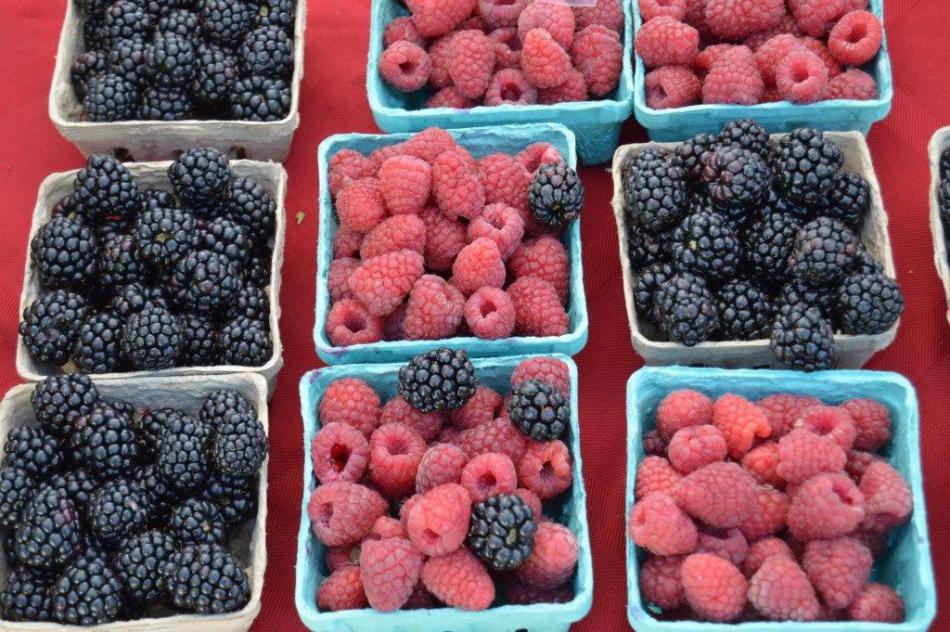 Photo by Lisa Fisher. Containers of fresh red raspberries and blackberries.