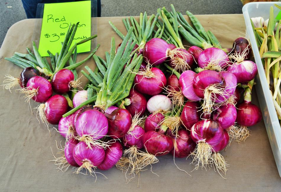 Photo by Lisa Fisher. Robust red onions at last month's Early Spring Farmer's Market.