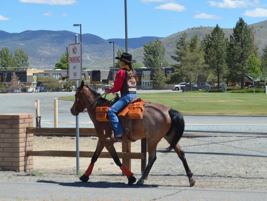 Photo by Lisa Fisher. Anne Martins and Rosie cantering along Highway 50 at Mills Park.