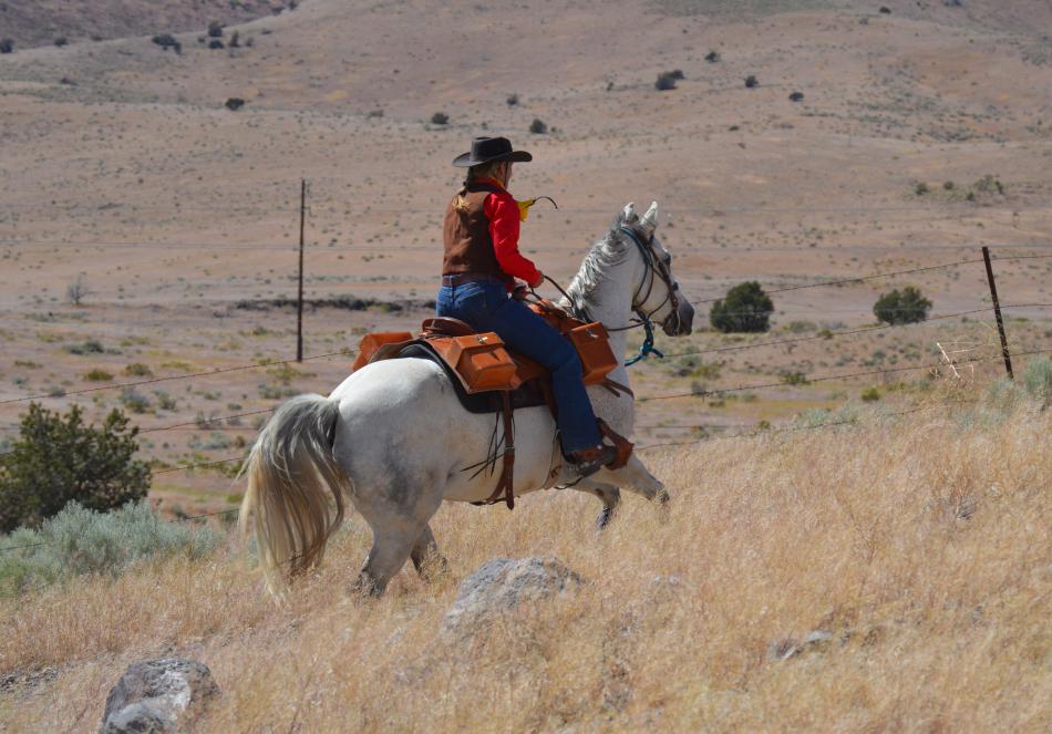 Photo by Lisa Fisher. Diane Garland and Louie slow to a canter on their way to Mound House.