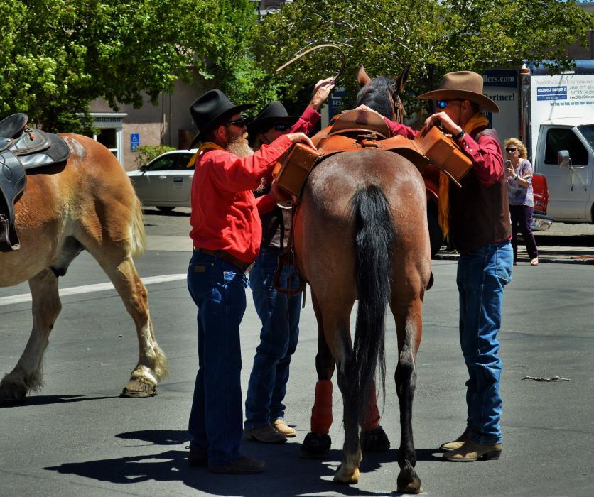 Photo by Lisa Fisher. The Mochila is fastened to Rosie's saddle in preparation for her ride through Carson City.