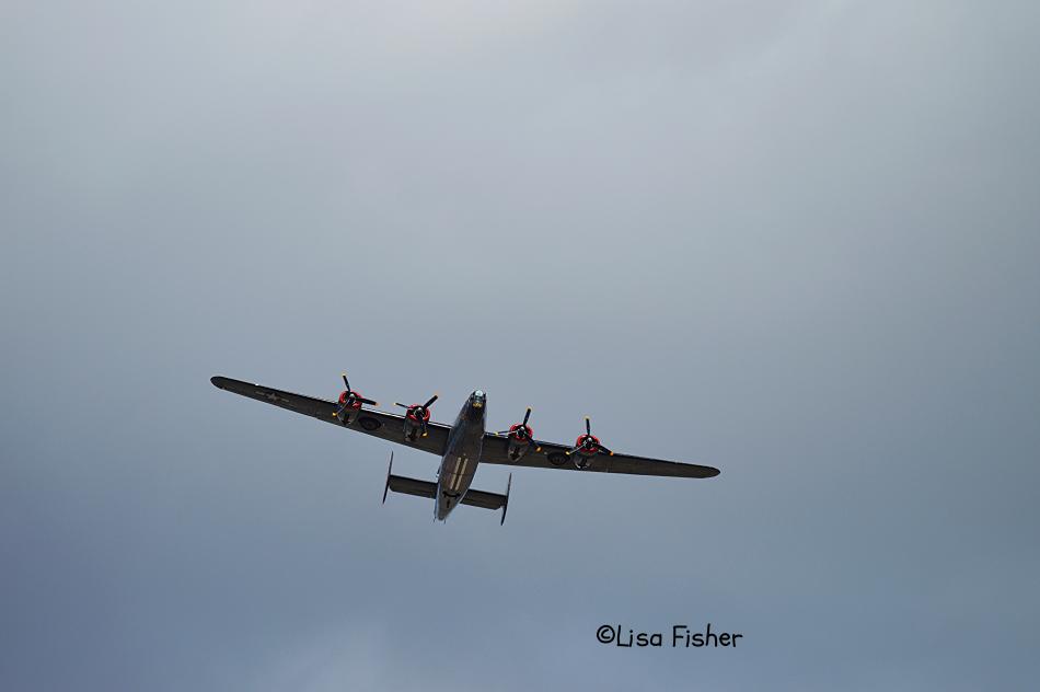 Photo by Lisa Fisher