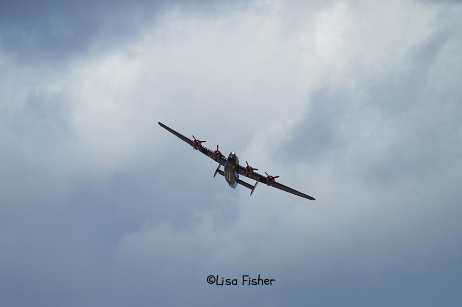 Photo by Lisa Fisher