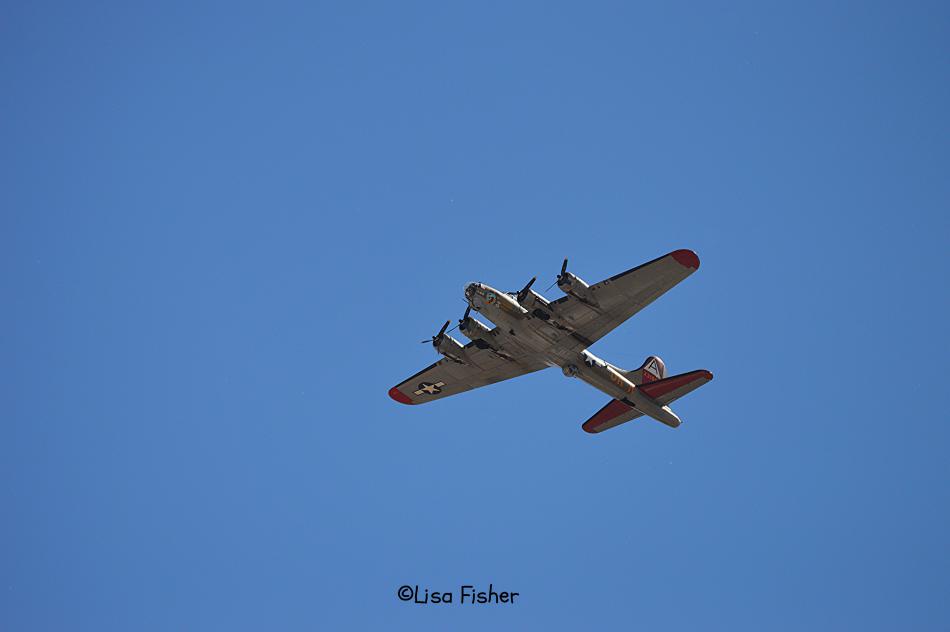 Photo by Lisa Fisher