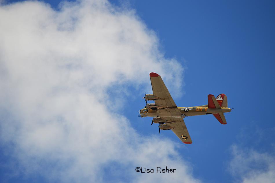 Photo by Lisa Fisher