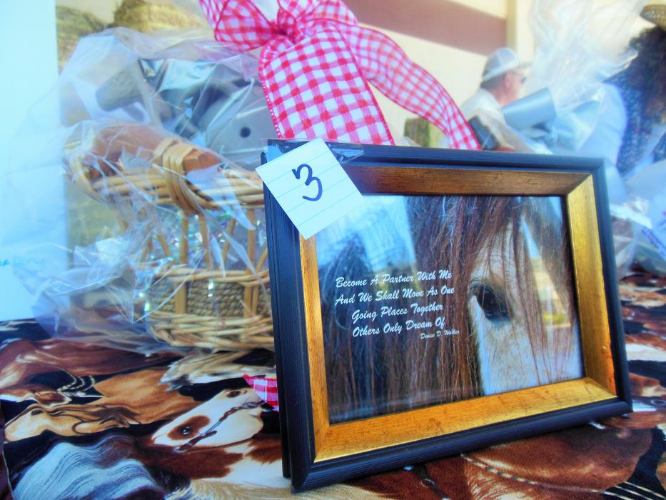 Photo by Brett Fisher. Prizes displayed during the STEP Fundraiser Saturday at CAL-Ranch in Carson City.