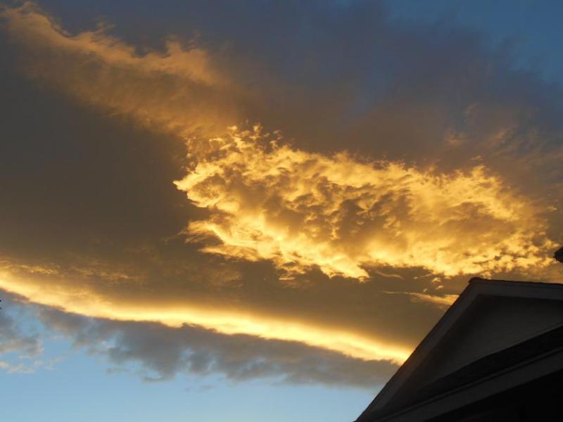 Photo by Skylar Easley, age 6