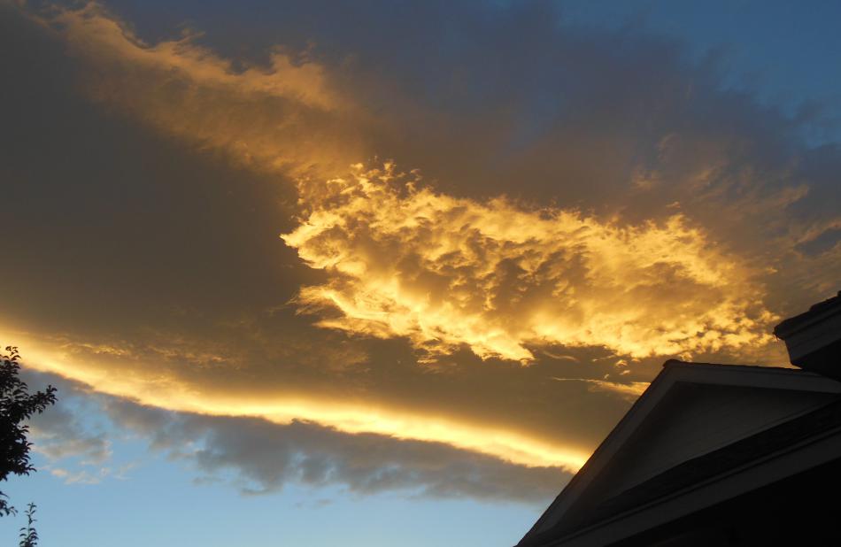 Photo by Skylar Easley, age 6