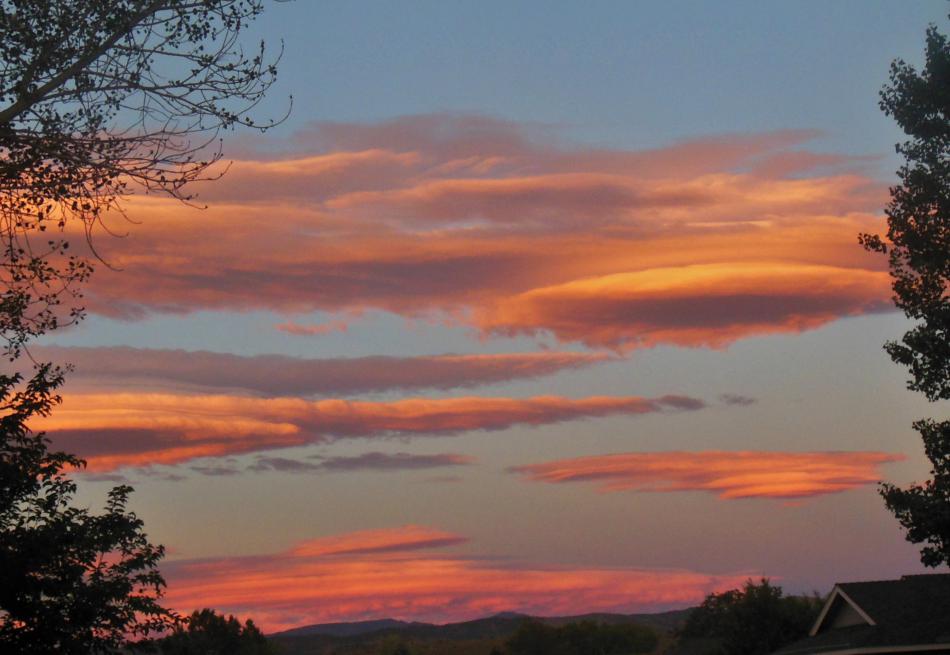 Photo by Skylar Easley, age 6