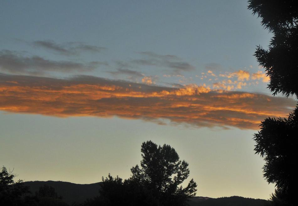 Photo by Skylar Easley, age 6
