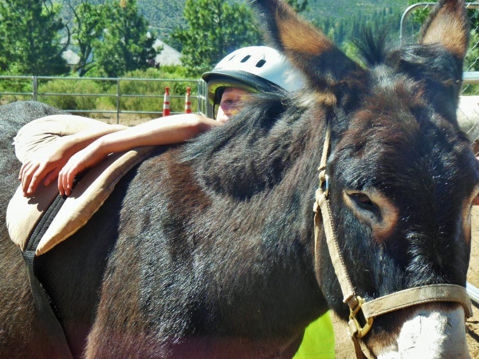 Taren learns how to saddle an equine while Frankie looks on.
