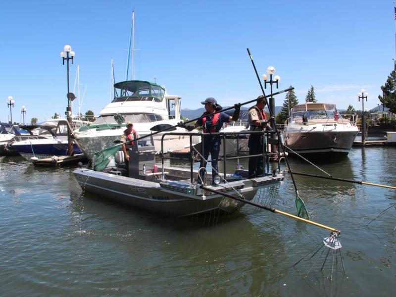 UNR scientists at Lake Tahoe have cataloged, tracked and removed invasive freshwater fish threatening the lake's ecology.