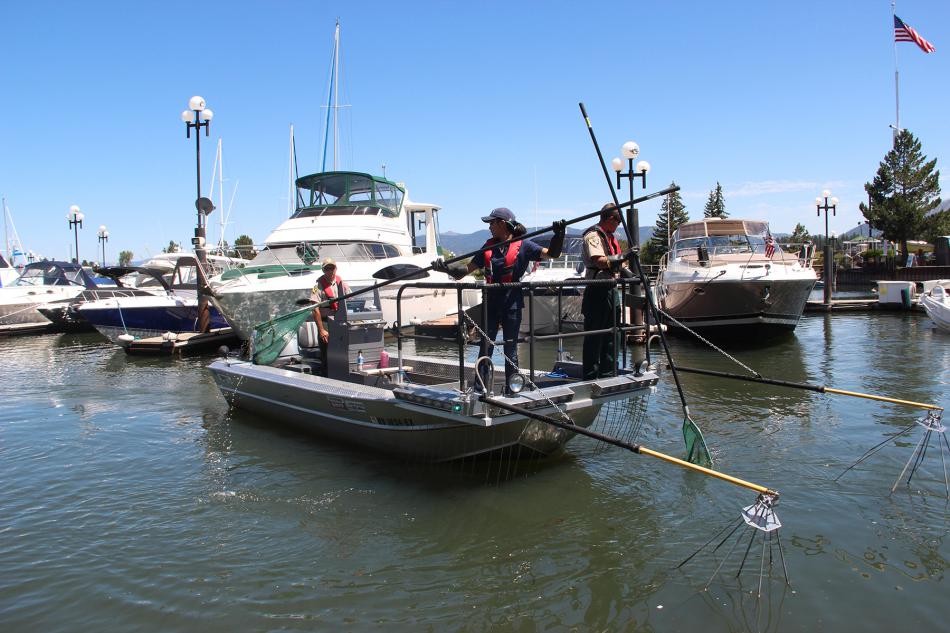 UNR scientists at Lake Tahoe have cataloged, tracked and removed invasive freshwater fish threatening the lake's ecology.