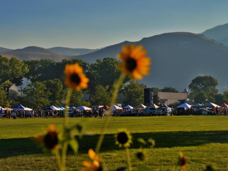 National Night Out at Mills Park with sunflowers in the foreground.