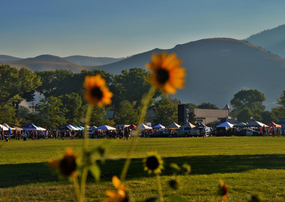 National Night Out at Mills Park with sunflowers in the foreground.