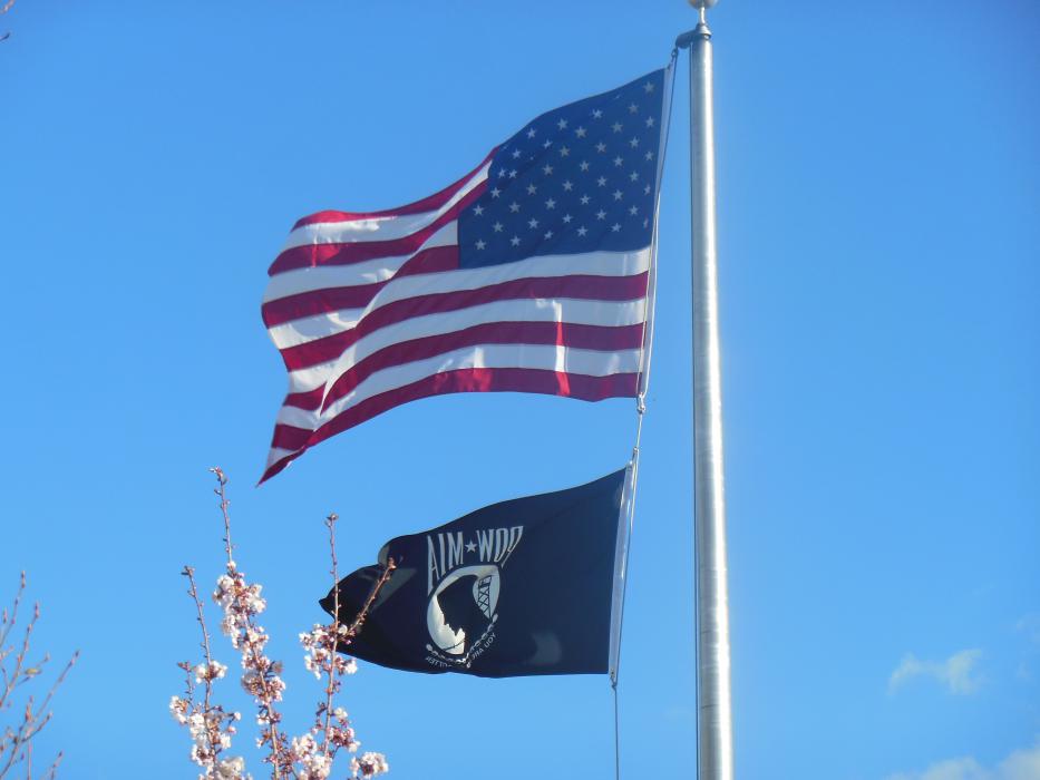 Flag pole at the Vietnam War Memorial in Mills Park.