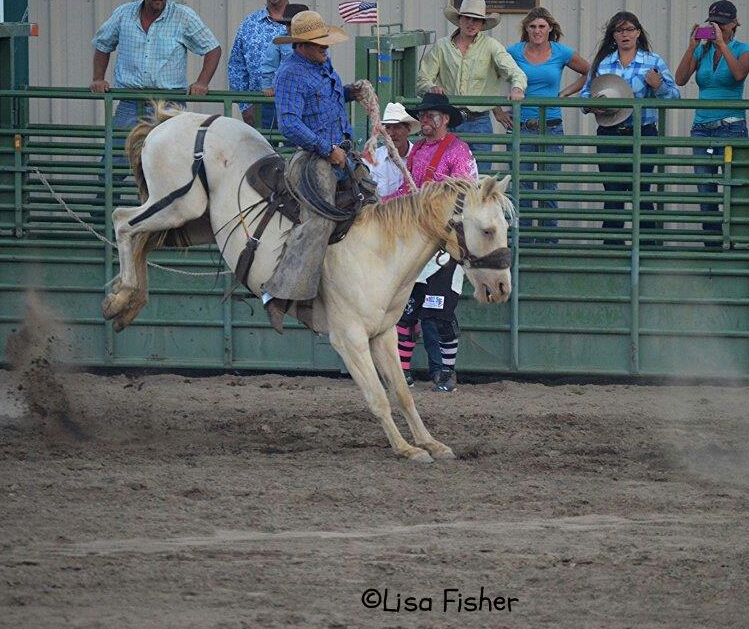 Photo by Lisa Fisher. A bronc tries to buck off his rider.