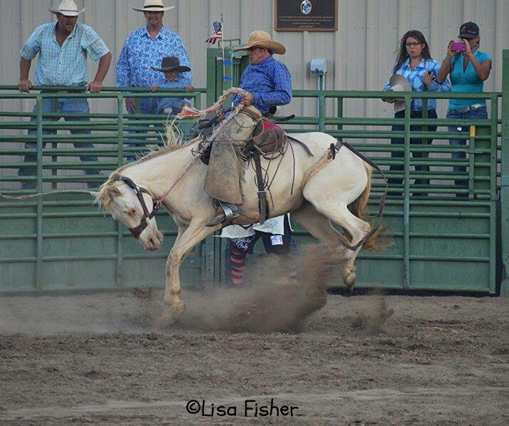 Photo by Lisa Fisher. A bronc rider out of the chute.