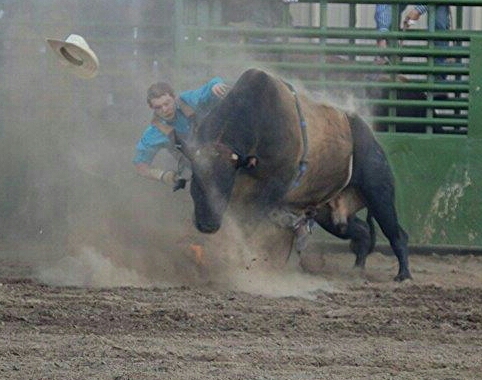 Photo by Lisa Fisher. A cowboy loses his hat on his way to the ground.
