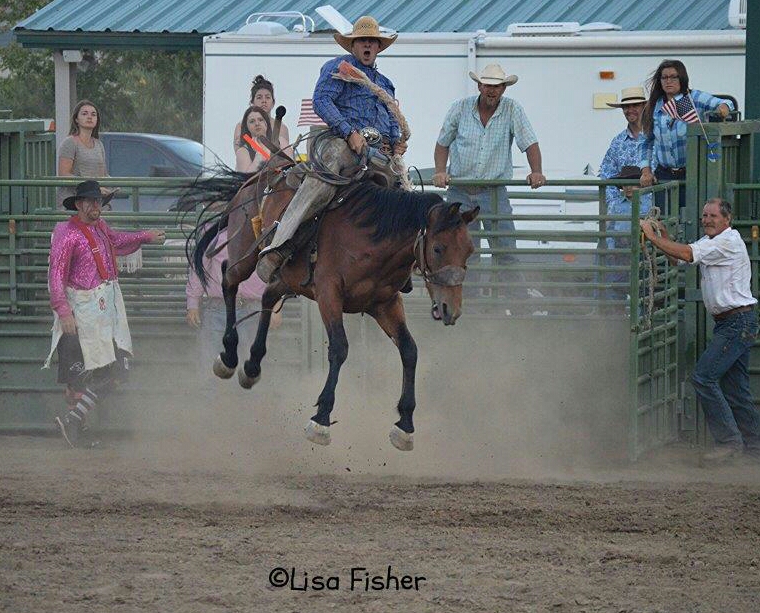 Photo by Lisa Fisher. A bronc rider whoops it up on his ride out of the chute.