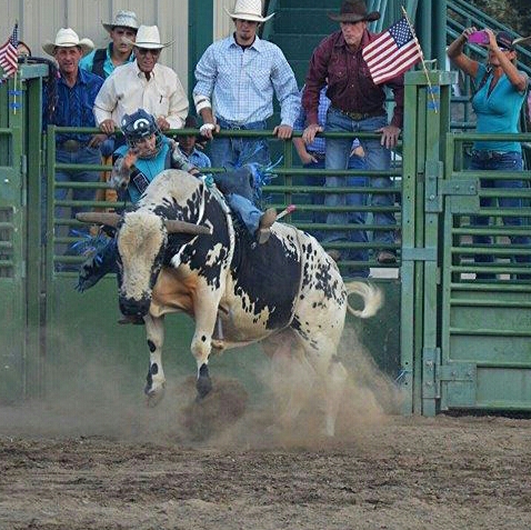 Photo by Lisa Fisher. Amanda Essary out of the chute on a bucking bull.
