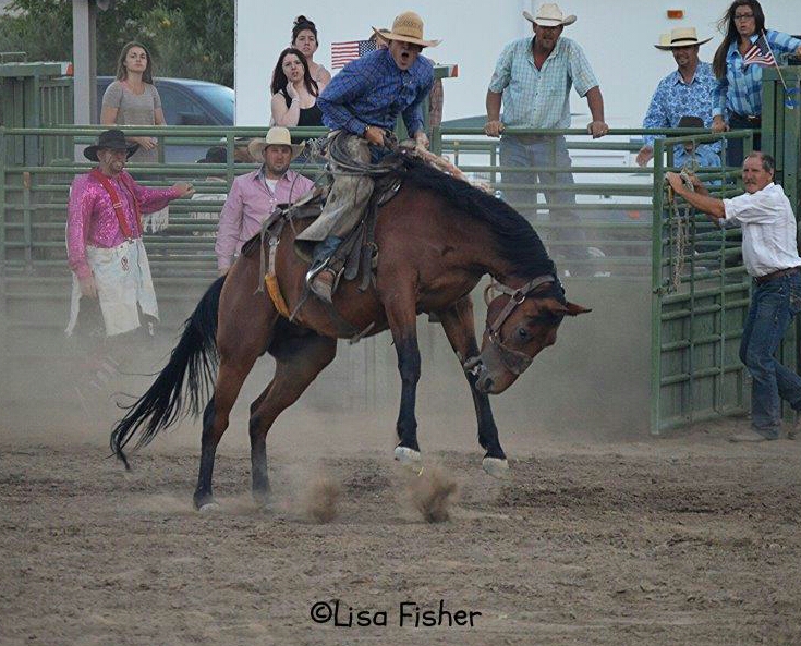 Photo by Lisa Fisher. A bronc rider hollers during his ride.