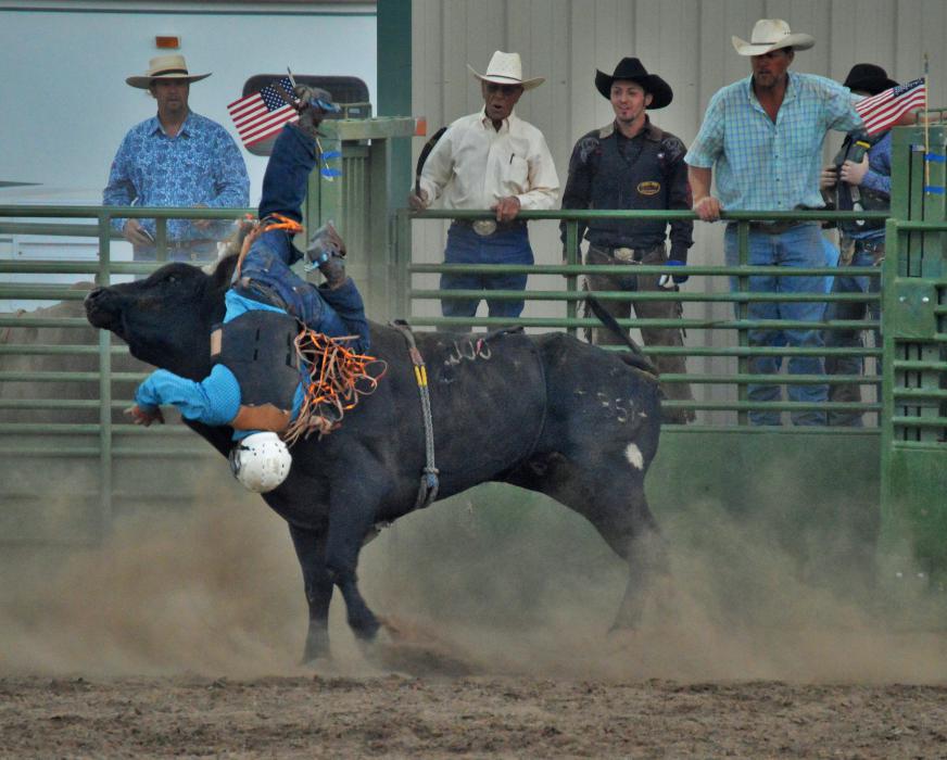 Photo by Lisa Fisher. A bull rider is up-ended by his mount.