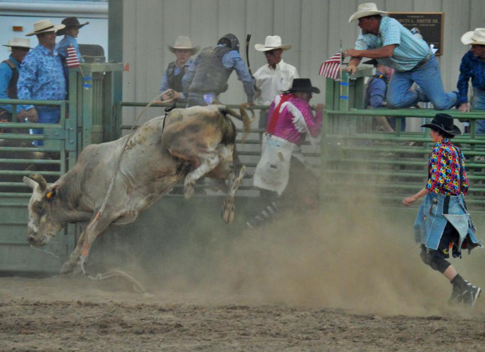 Photo by Lisa Fisher. A bull pins a bullfighter against the gates.