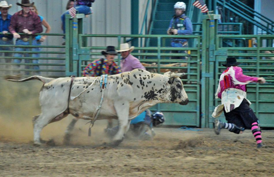 Photo by Lisa Fisher. A bull goes after a bullfighter in the arena.