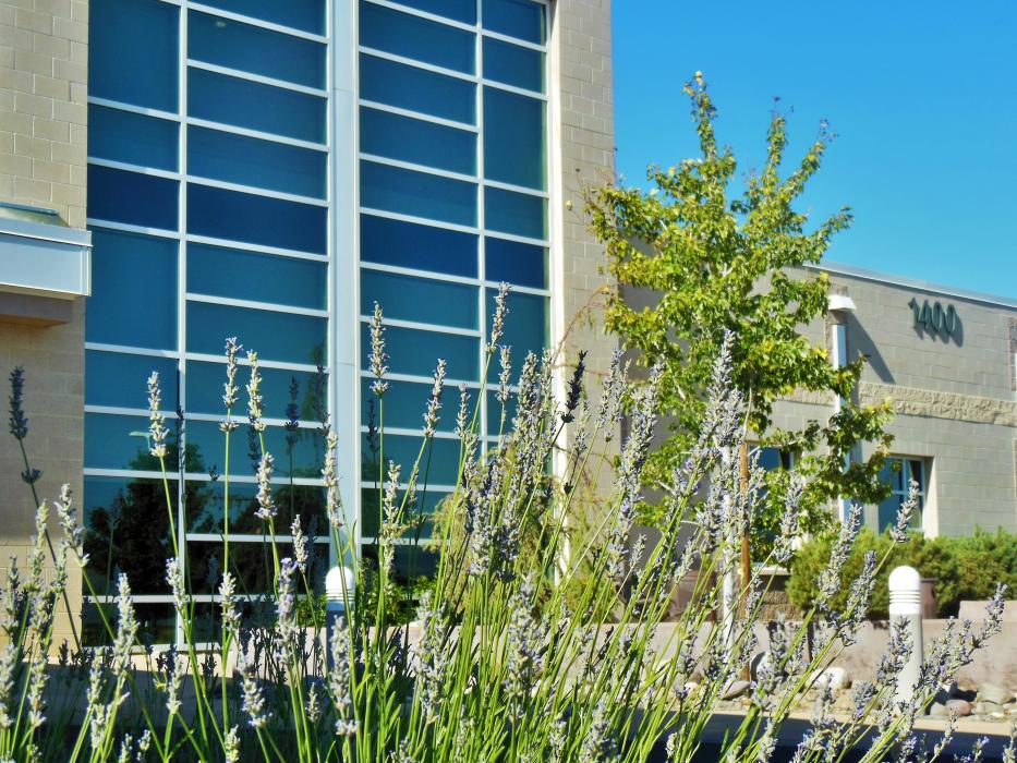 Exterior of the Sierra Surgery Hospital facing the new Breast Center wing.