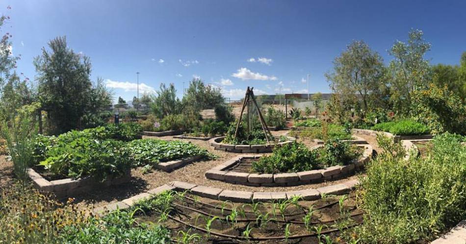 Photo courtesy of Grow Your Own Nevada.