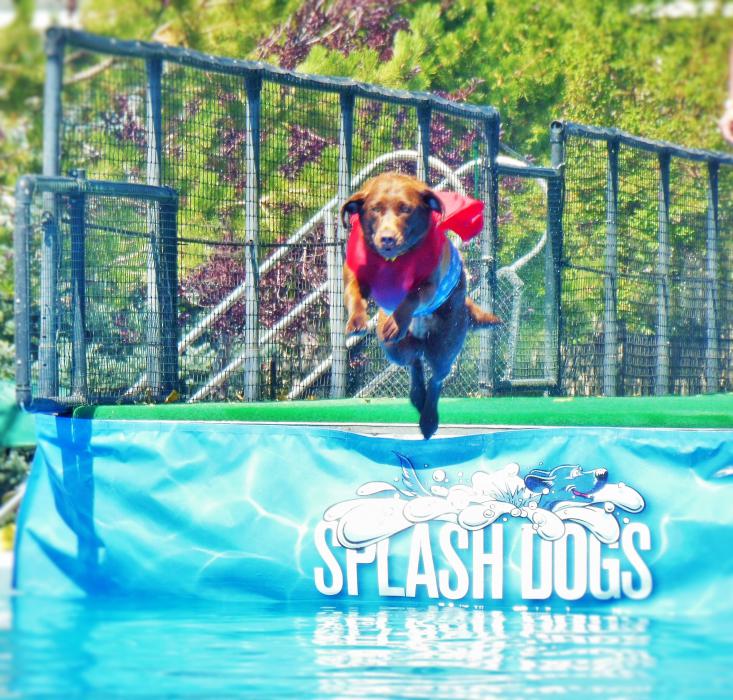 Photo by Brett Fisher