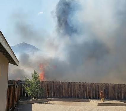 Photo courtesy of Nancy Sawyer