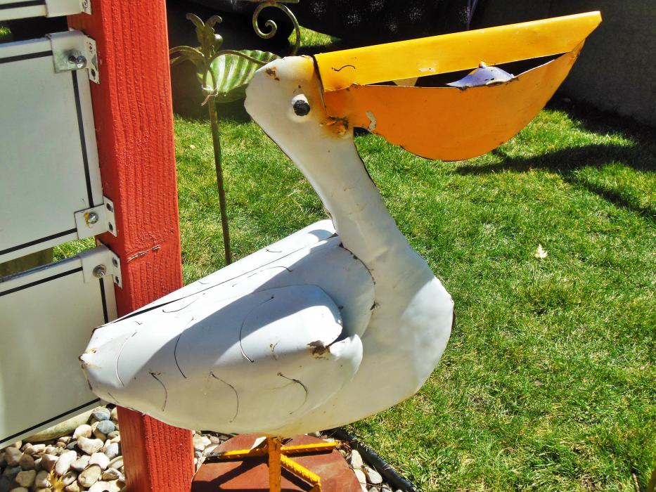Metal pelican yard art.