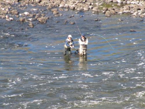 East Walker River. File Photo by Elaine Quilici