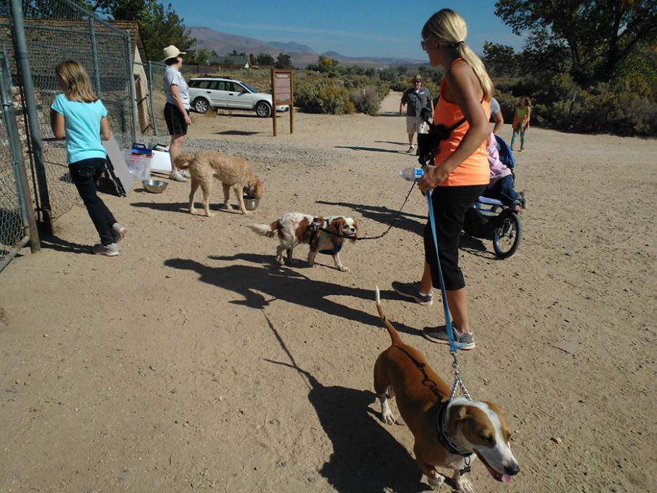 Join CASI at Riverview Park for the annual 5K9 walk/run and don’t forget to bring your pooch.